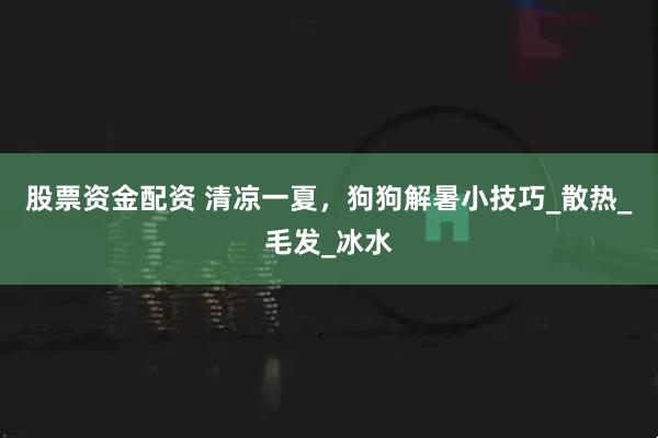 股票资金配资 清凉一夏,狗狗解暑小技巧_散热_毛发_冰水