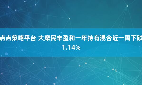 点点策略平台 大摩民丰盈和一年持有混合近一周下跌1.14%