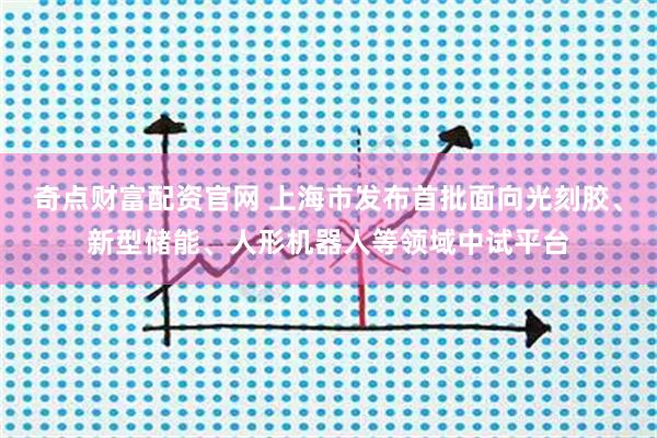 奇点财富配资官网 上海市发布首批面向光刻胶、新型储能、人形机器人等领域中试平台